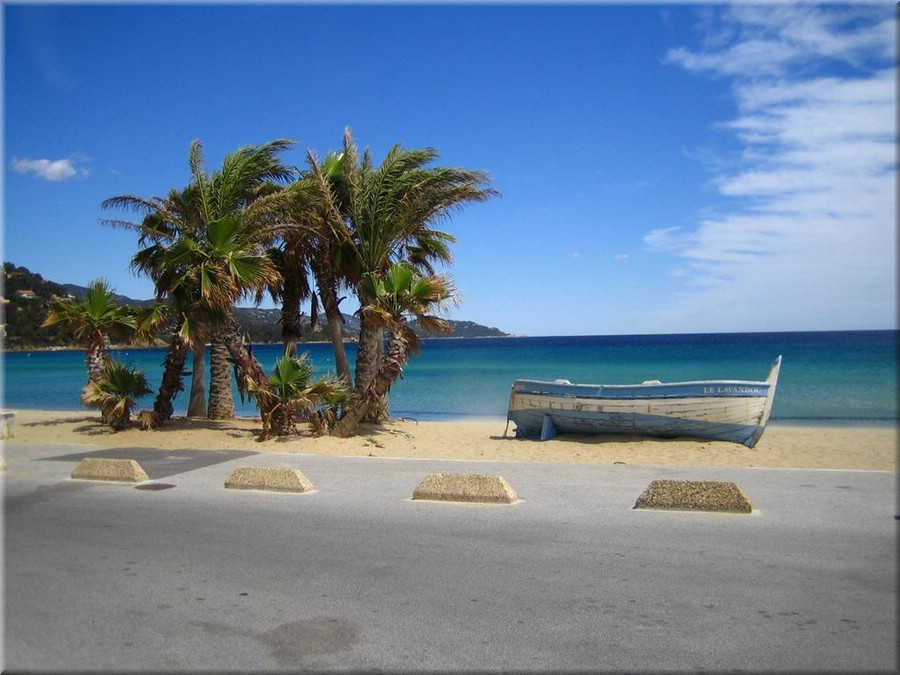 img_0270lelavandou.JPG