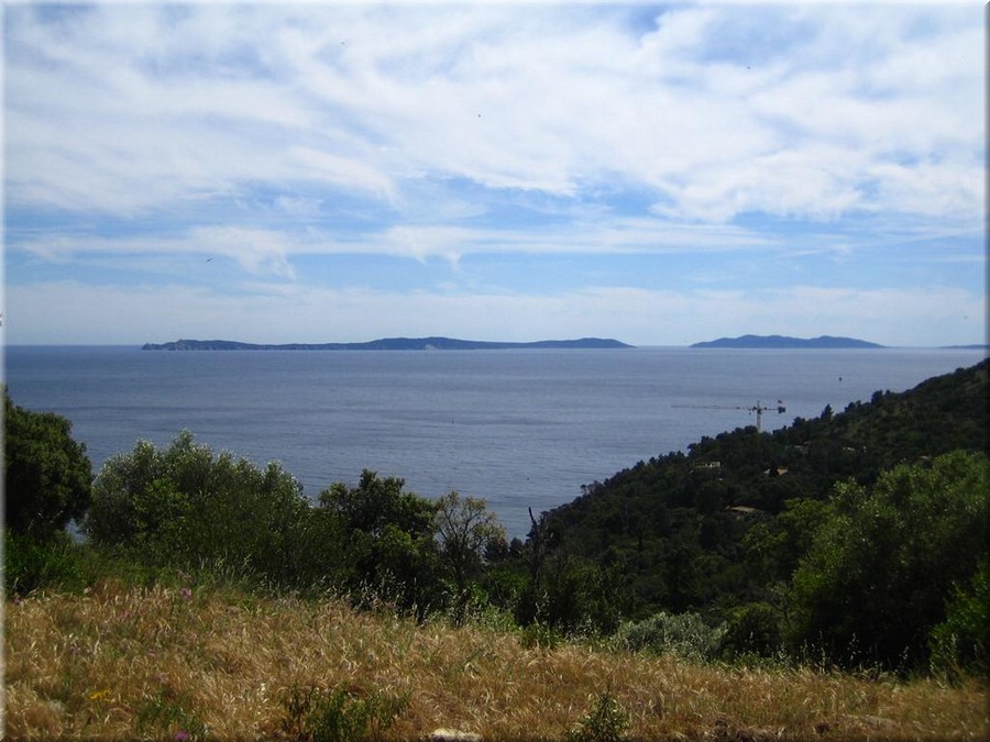 img_0272lelavandou.JPG