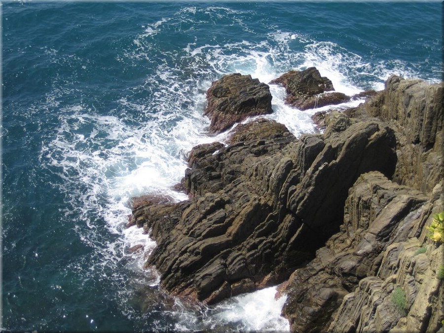 img_0380_riomaggiore_cinqueterre.JPG