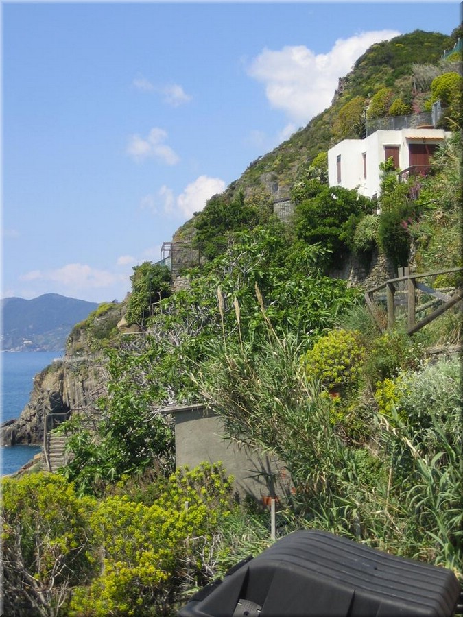 img_0381_riomaggiore_cinqueterre.JPG
