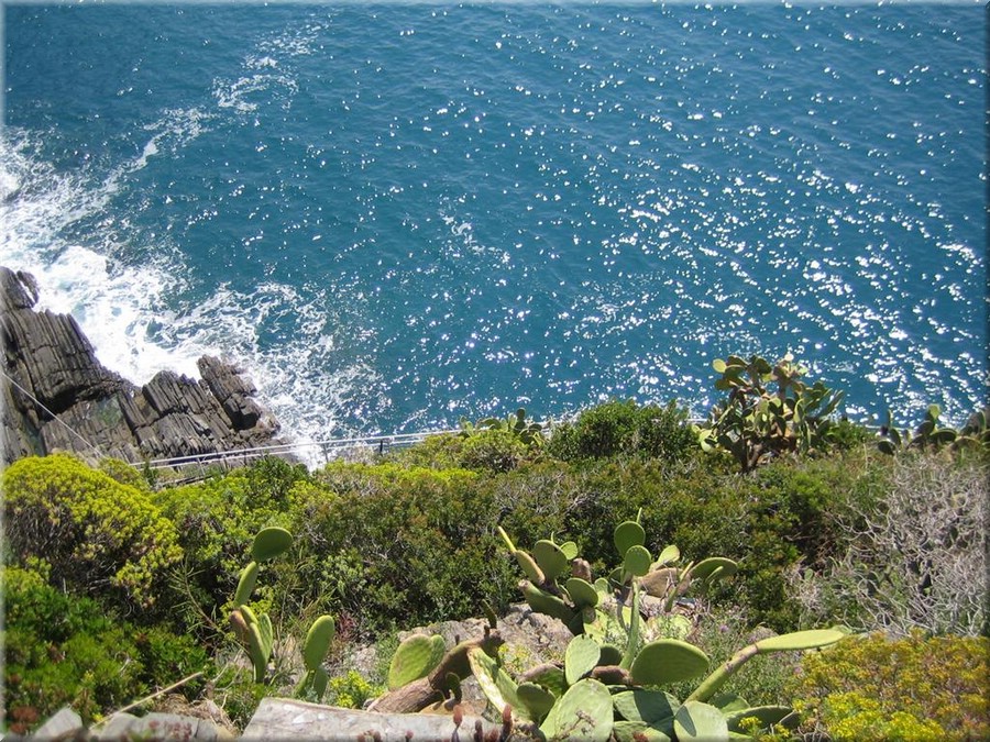 img_0395_riomaggiore_cinqueterre.JPG