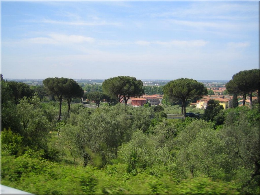 img_0512_lucca.JPG