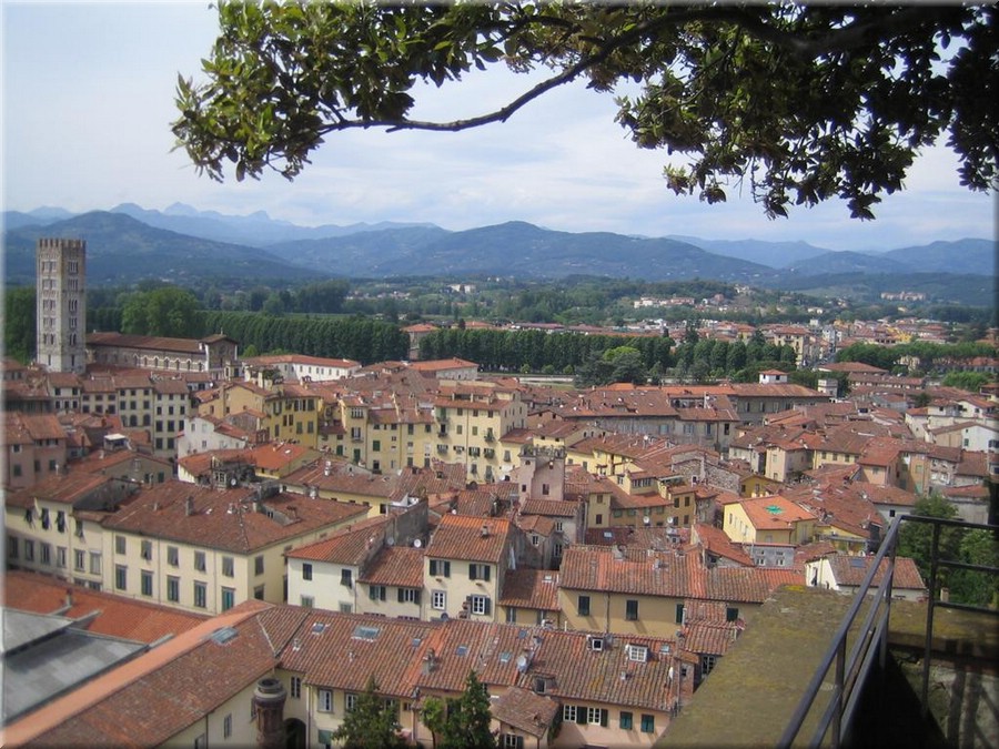 img_0521_lucca.JPG