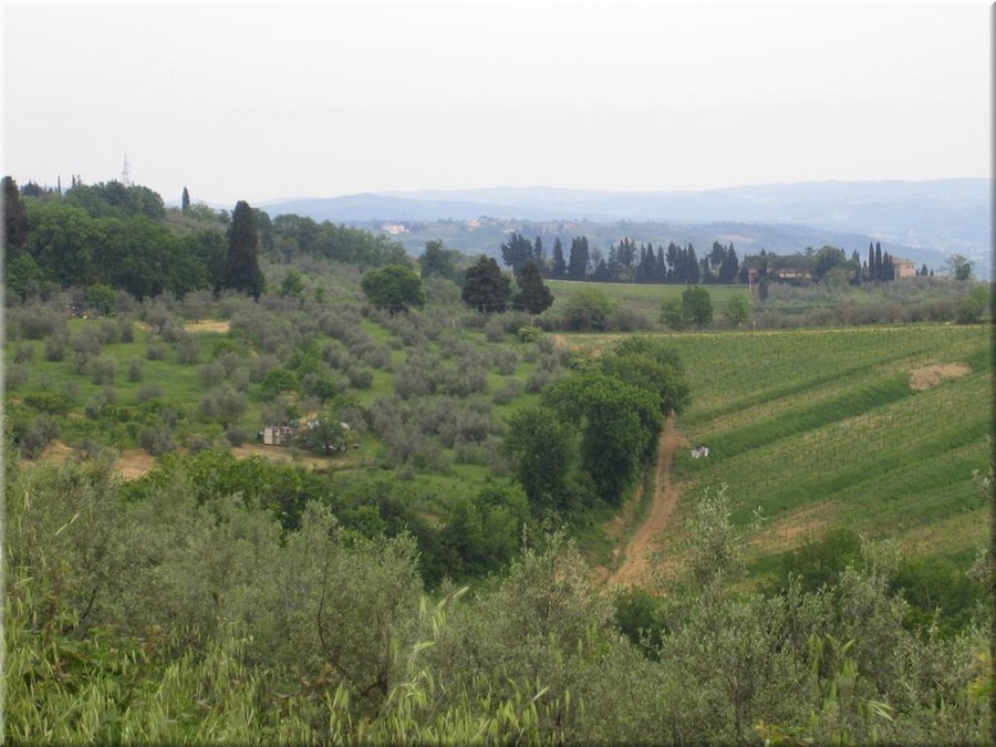 img_0556_figlinevaldarno.JPG