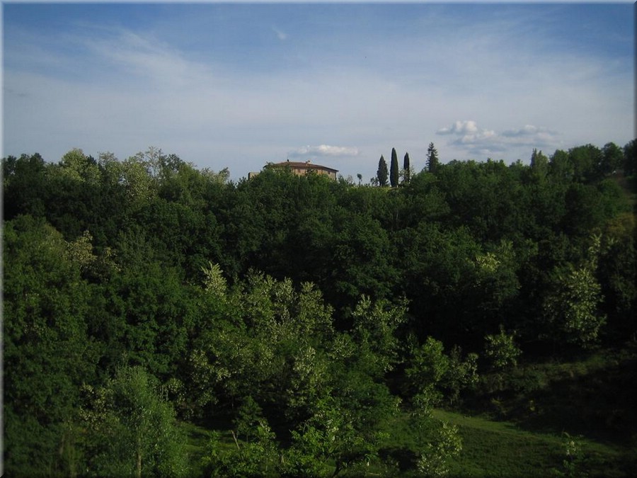 img_0798_figlinevaldarno.JPG