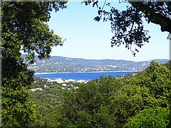 IMG_0275_cavalaire.JPG