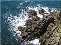 img_0380_riomaggiore_cinqueterre.JPG