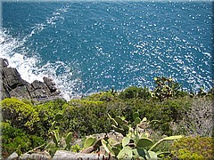 img_0395_riomaggiore_cinqueterre.JPG