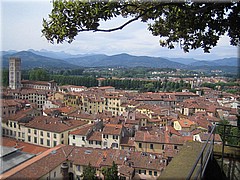 img_0521_lucca.JPG