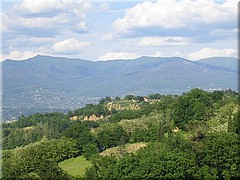 img_0796_figlinevaldarno.JPG