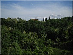 img_0798_figlinevaldarno.JPG