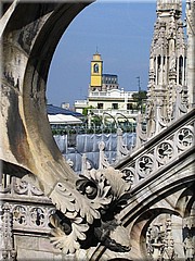 img_1049_milano.JPG