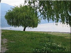 img_1142_comersee.JPG