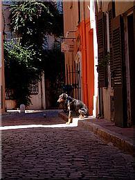 0104 Snoop Doggy Dog in St Tropez - mal ehrlich kann man sich unbewusst geiler in Szene setzten.jpg