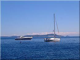 0225 die kamen wenigstens an die Fleischbeilage der Fischsuppe Radtour auf Iles d Hyeres Le Lavandou .jpg