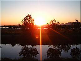0241 Landzunge vor Hyeres.JPG