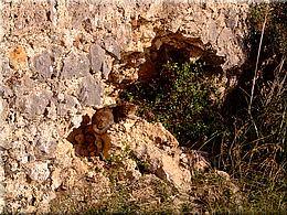 1162 Orbetello Port Ercole abentaeuerliche Umrundung klasse Strand millionen Moskitos.JPG