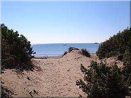 1221 Orbetello Port Ercole abentaeuerliche Umrundung klasse Strand millionen Moskitos.JPG