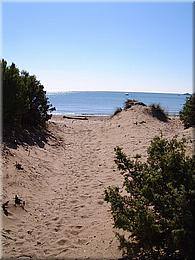 1225 Orbetello Port Ercole abentaeuerliche Umrundung klasse Strand millionen Moskitos.jpg