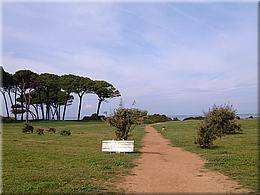 1905 good bye Populonia.JPG