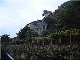 2217a Cinque Terre  - Vernazza Evas Traumhaus.JPG