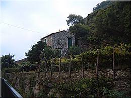 2218a Cinque Terre  - Vernazza Evas Traumhaus.JPG